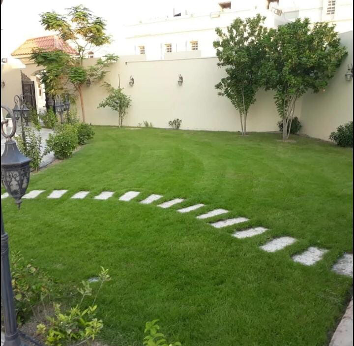 حديقه - 1