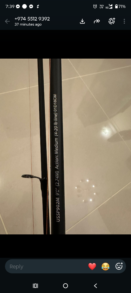 Ugly stik gx2 spinning fishing rod - 3