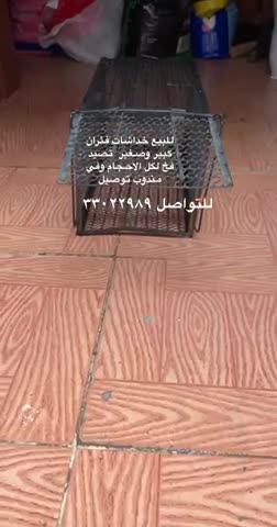 للبيع قفص صيد فار  - 1