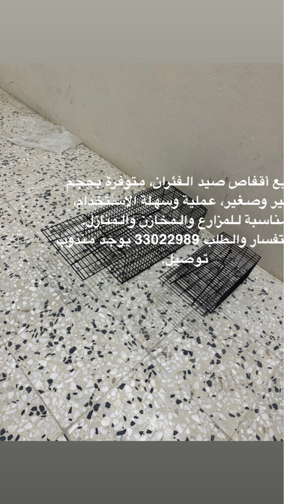 للبيع قفص صيد فار  - 2