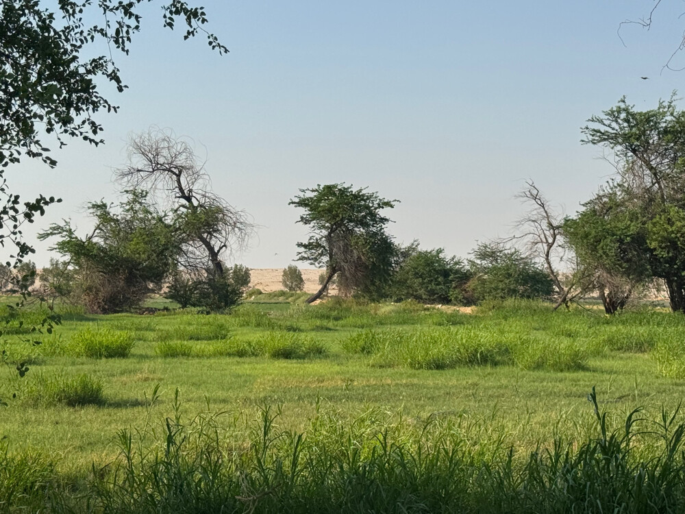 Farm for rent - 16