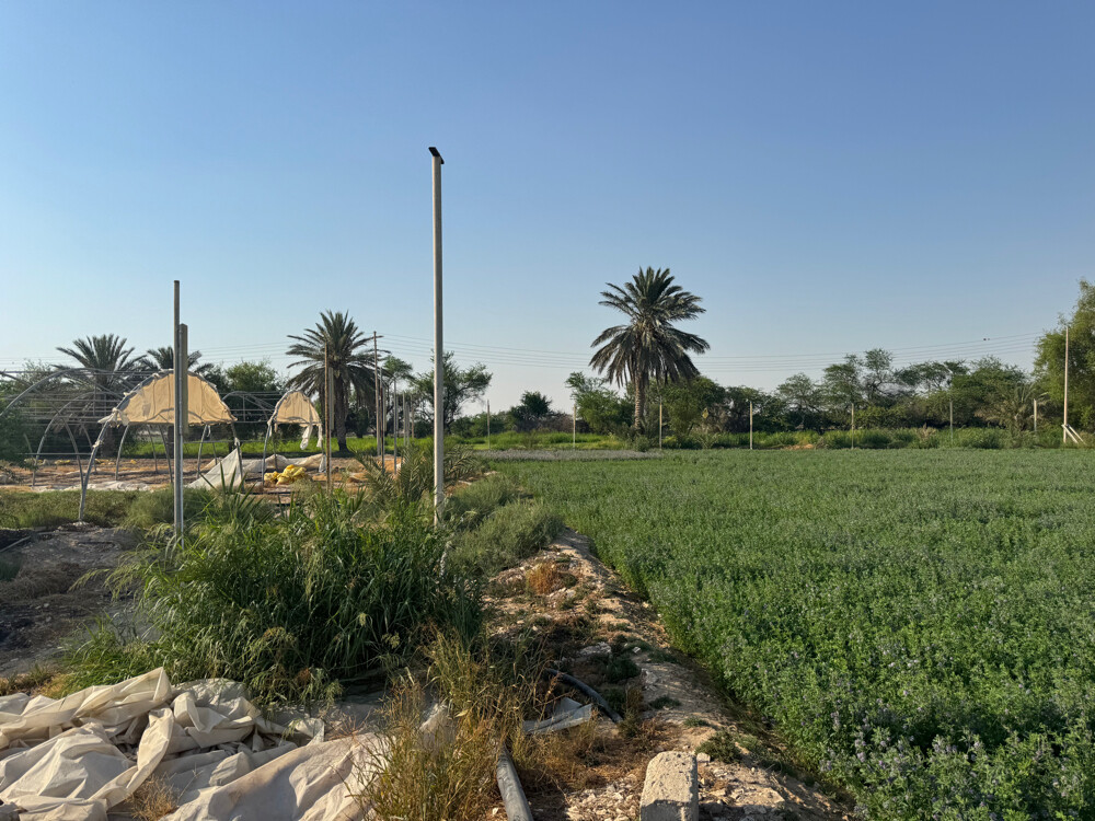 Farm for rent - 22