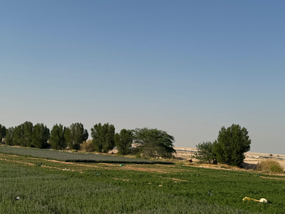 Farm for rent - 10