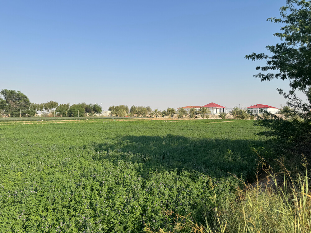 Farm for rent - 21