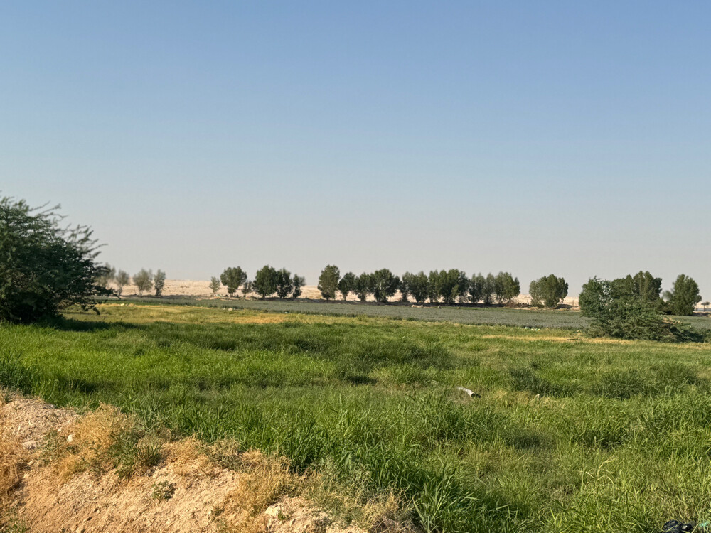 Farm for rent - 5