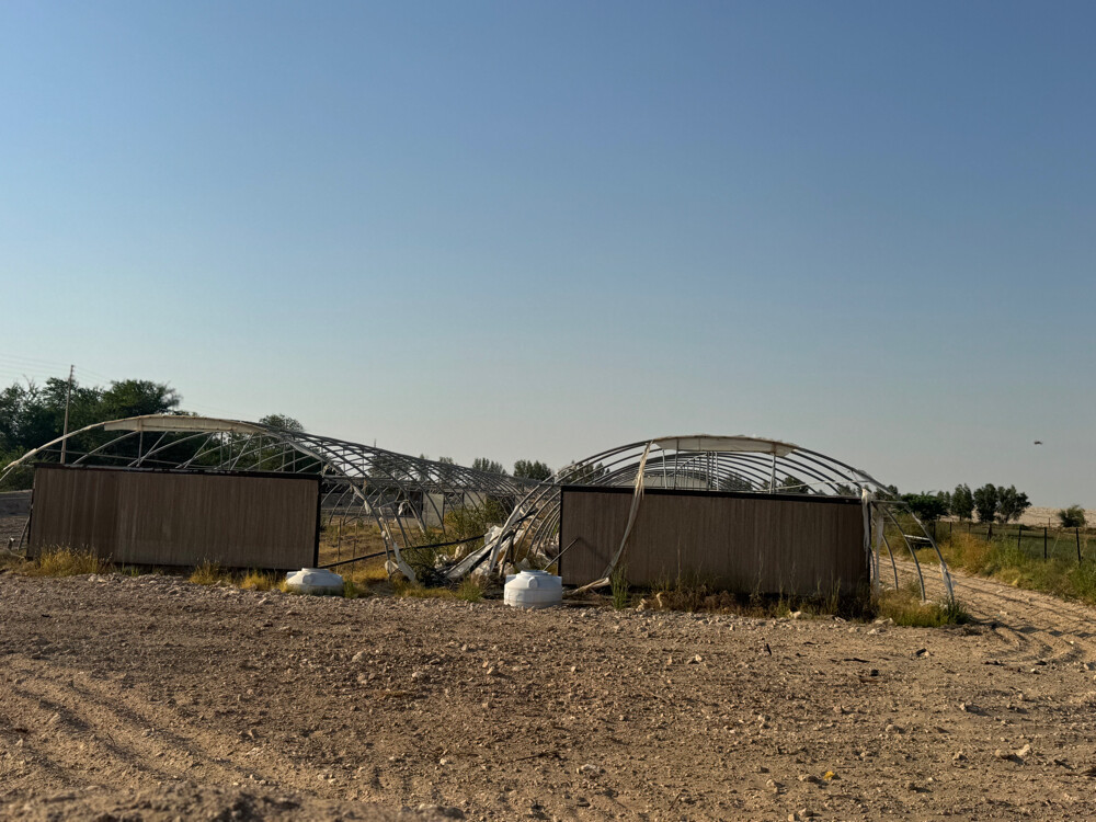 Farm for rent - 11