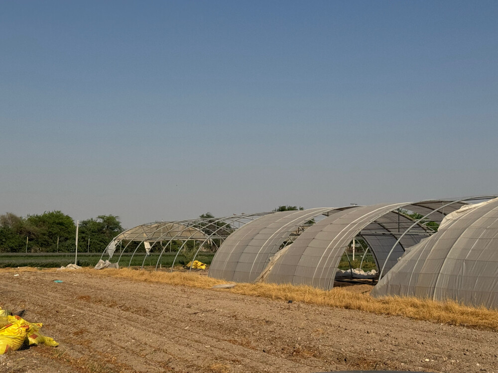 Farm for rent - 18
