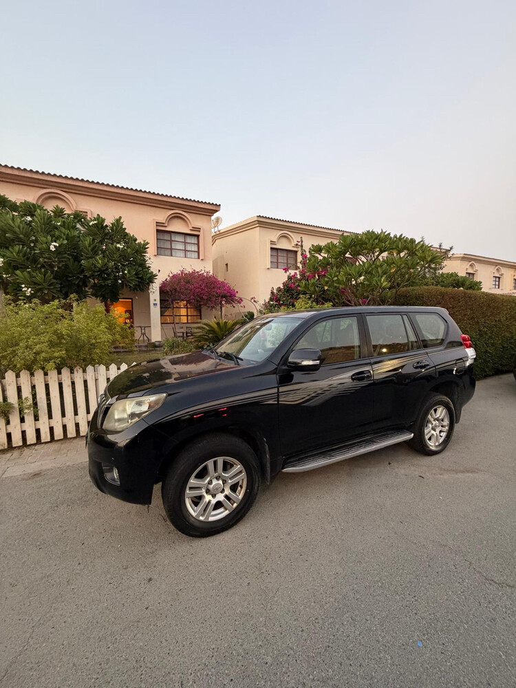 Toyota parado 2010 - 1