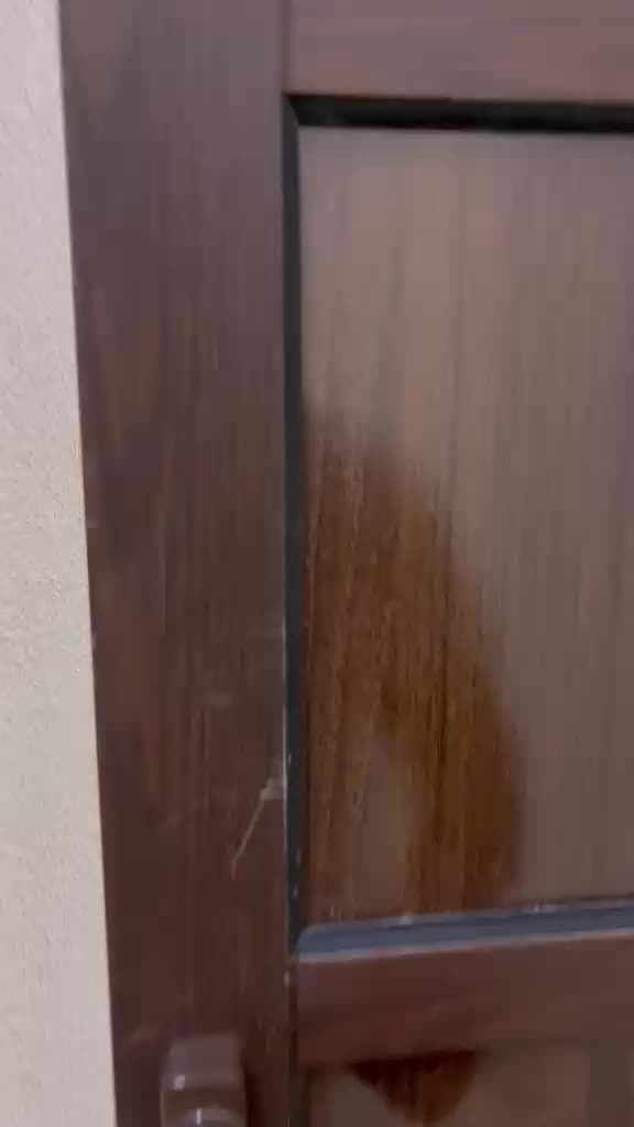 Separate Home For Rent in Al Khor - 1