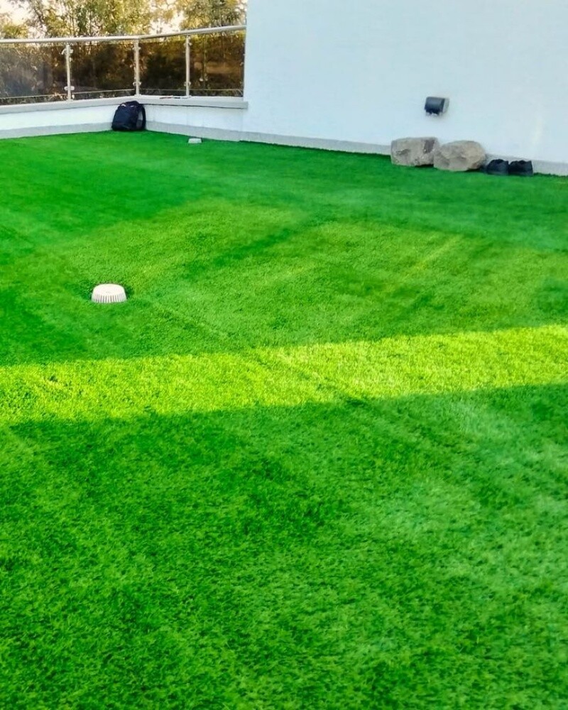 Artificial Grass - 1