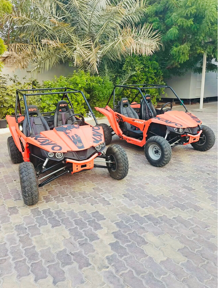 Kayo S200 buggy - 2