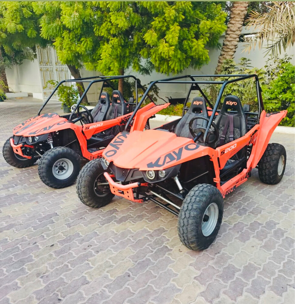 Kayo S200 buggy - 3