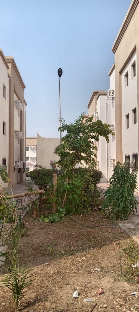 العناية بالمسطحات الخضراء - 2