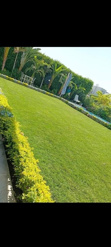 عمل كافه أعمال الزراعه وتنسيق الح - 2