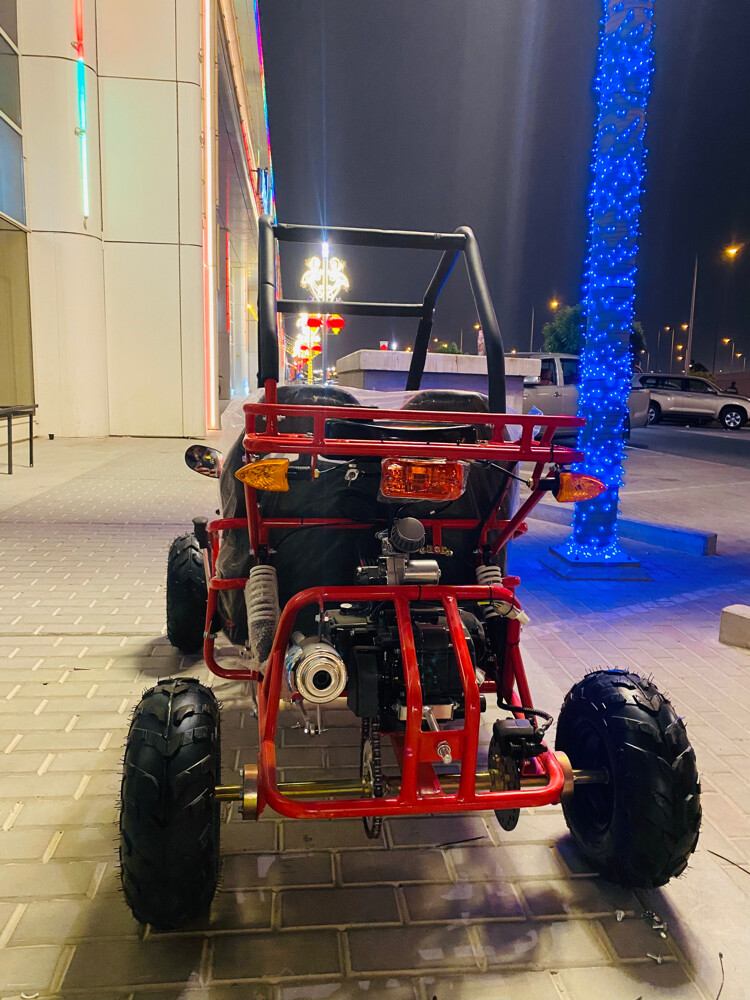 Buggy - 3