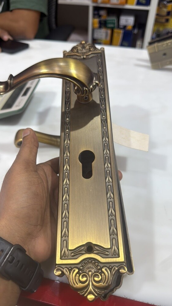Professional Door Closer, Door Lock - 3