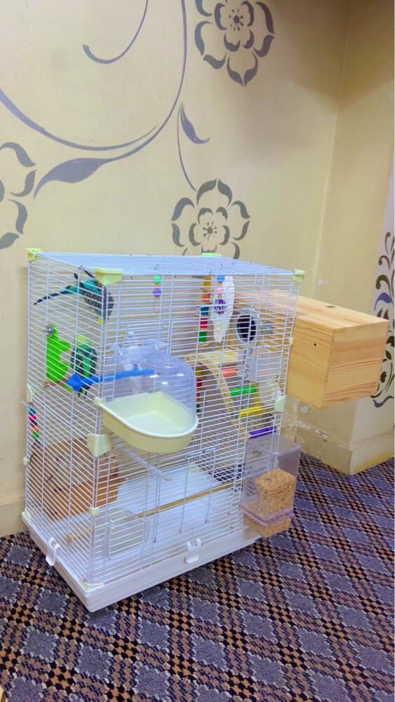 only cage no birds  - 1
