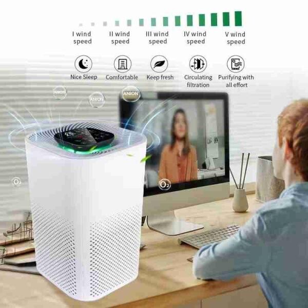 Portable HEPA WiFi Air Purifier - 3