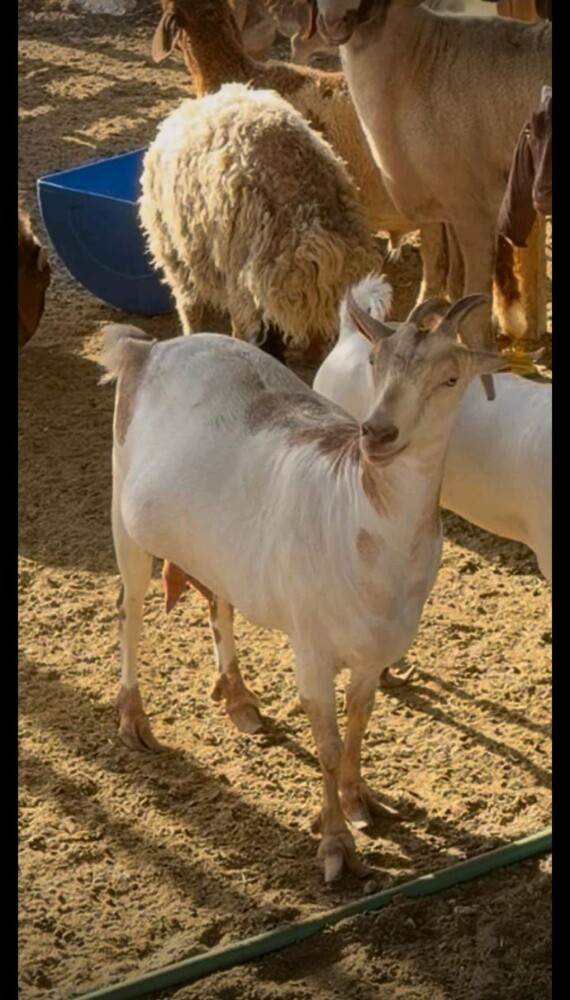 ابحث عن عمل - 2