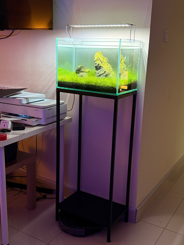 Planted Aquarium Tank - 2