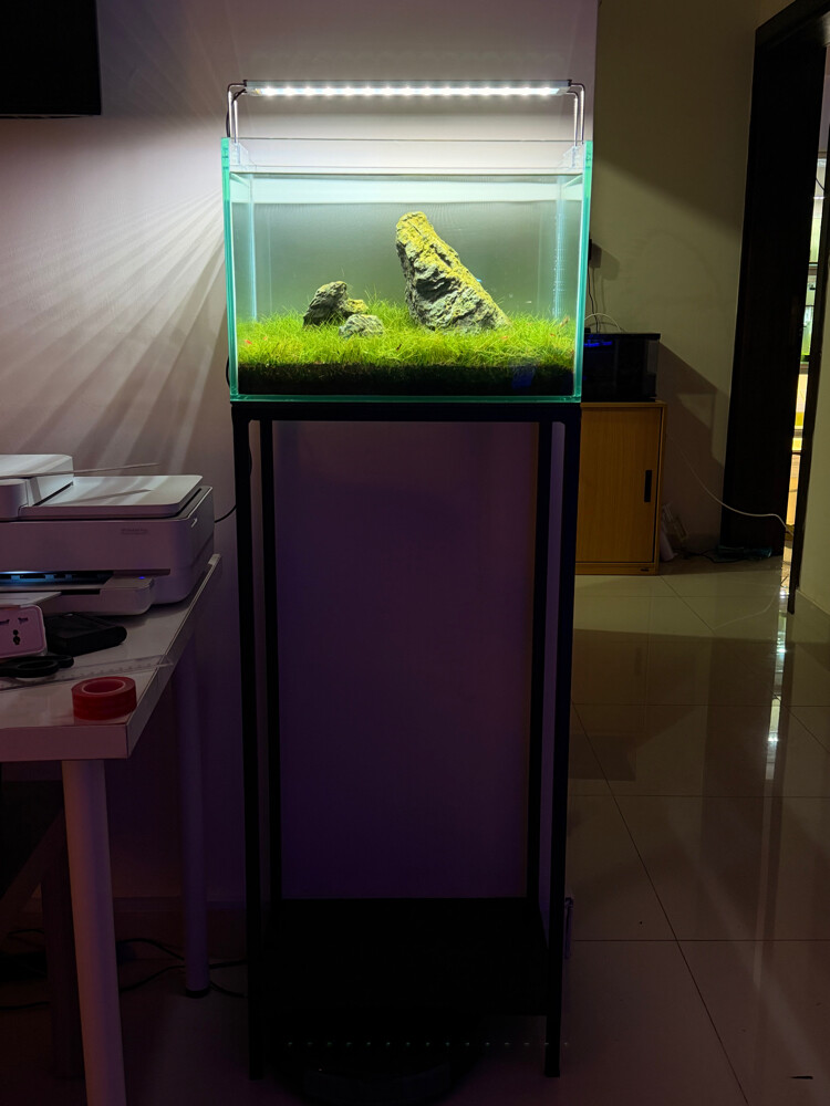Planted Aquarium Tank - 4