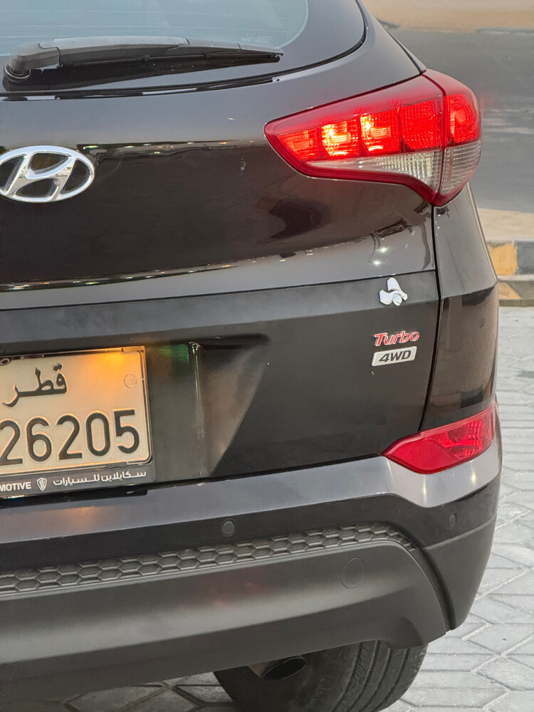 محمد احمد - 5