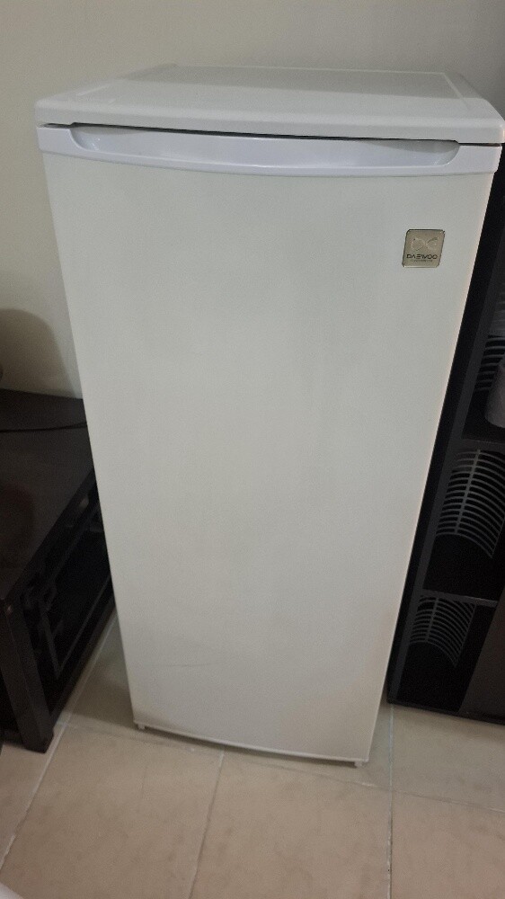 Daweoo Upright Freezer - 4