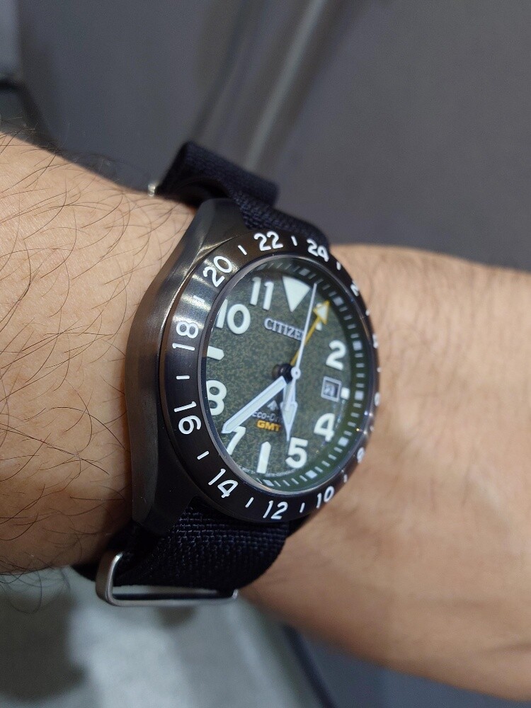 Citizen Pro Master GMT - 1