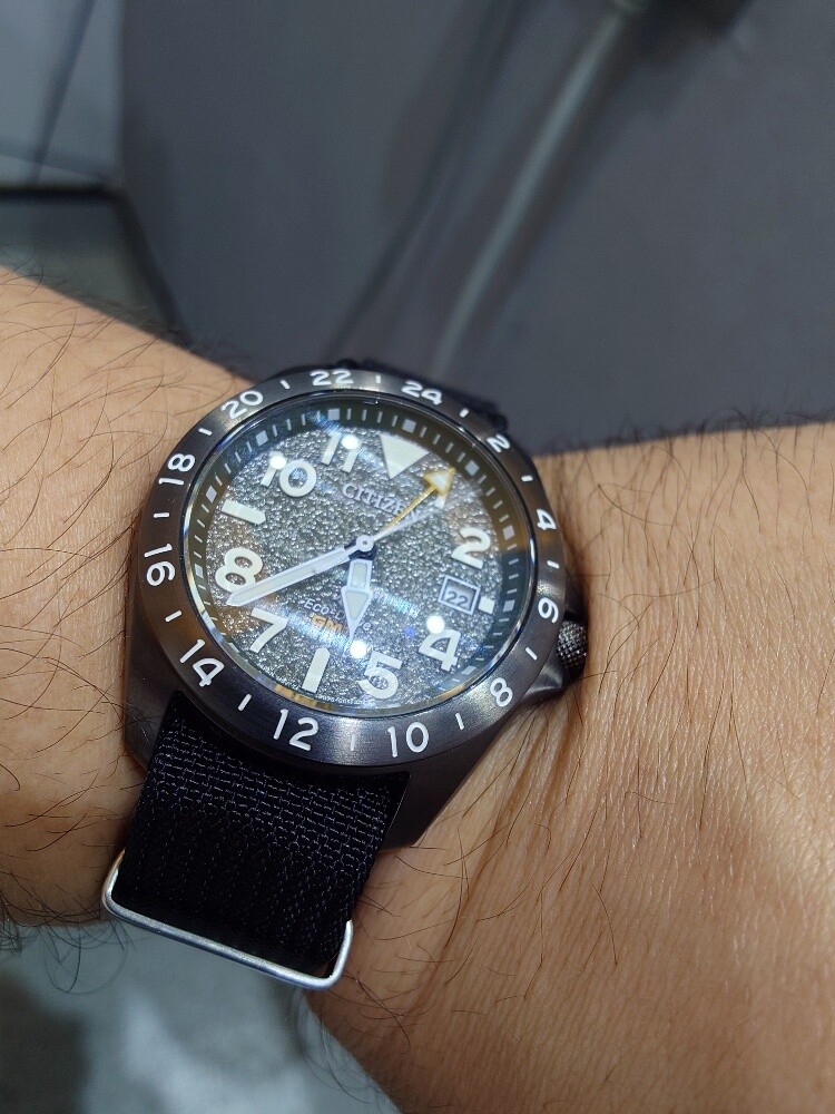 Citizen Pro Master GMT - 2