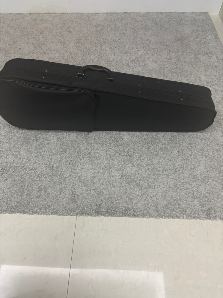 Wood Violin With Case - 3