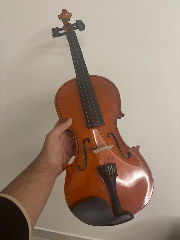 Wood Violin With Case - 4