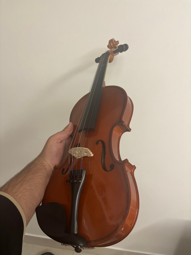 Wood Violin With Case - 5