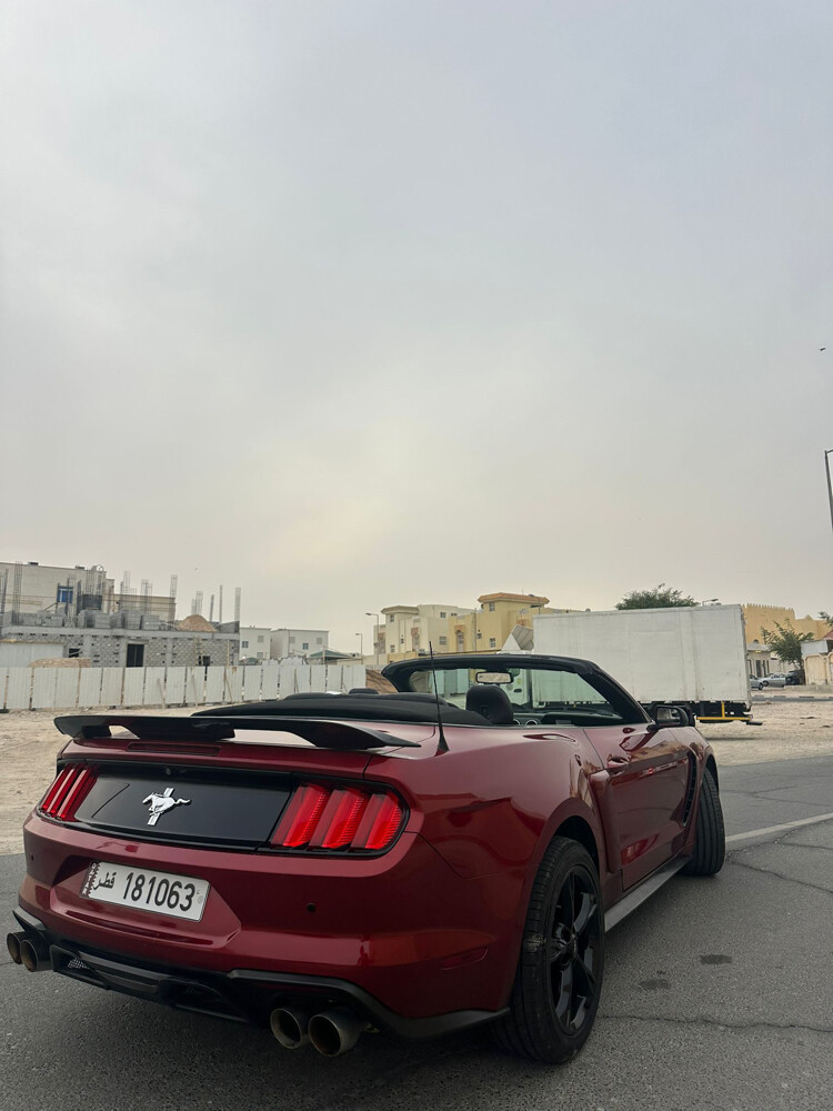 موستنج 2016  - 8
