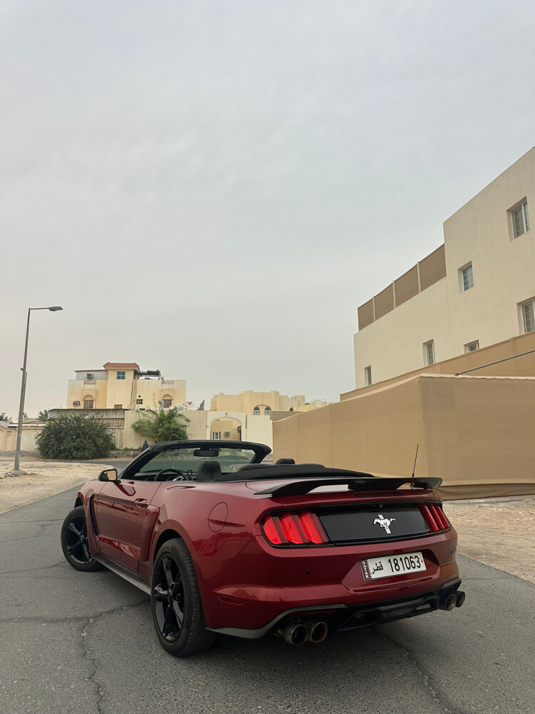 موستنج 2016  - 7