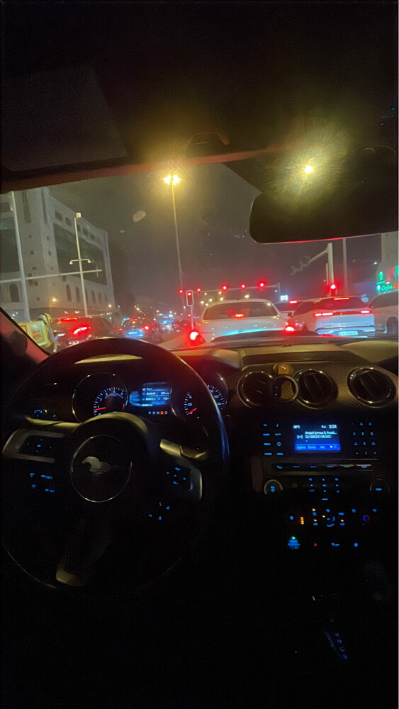 موستنج 2016  - 3