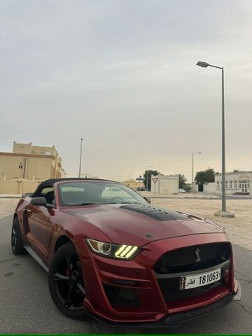 موستنج 2016  - 9