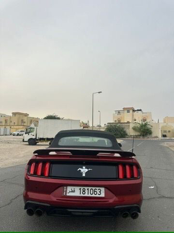 موستنج 2016  - 4
