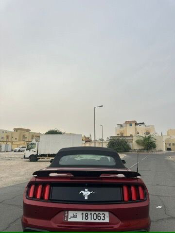 موستنج 2016  - 6
