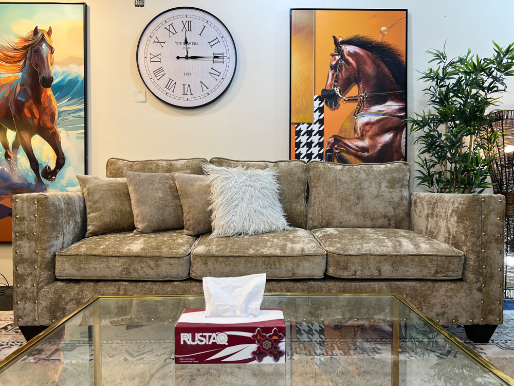 Homes r us brand 8 seater 3+3+1+1 - 5