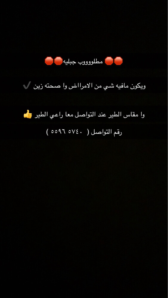 مطلوب - 1
