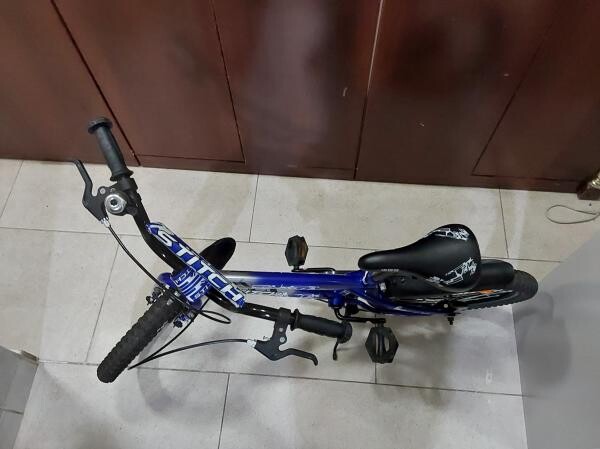 Kid's bike + training wheels - 2