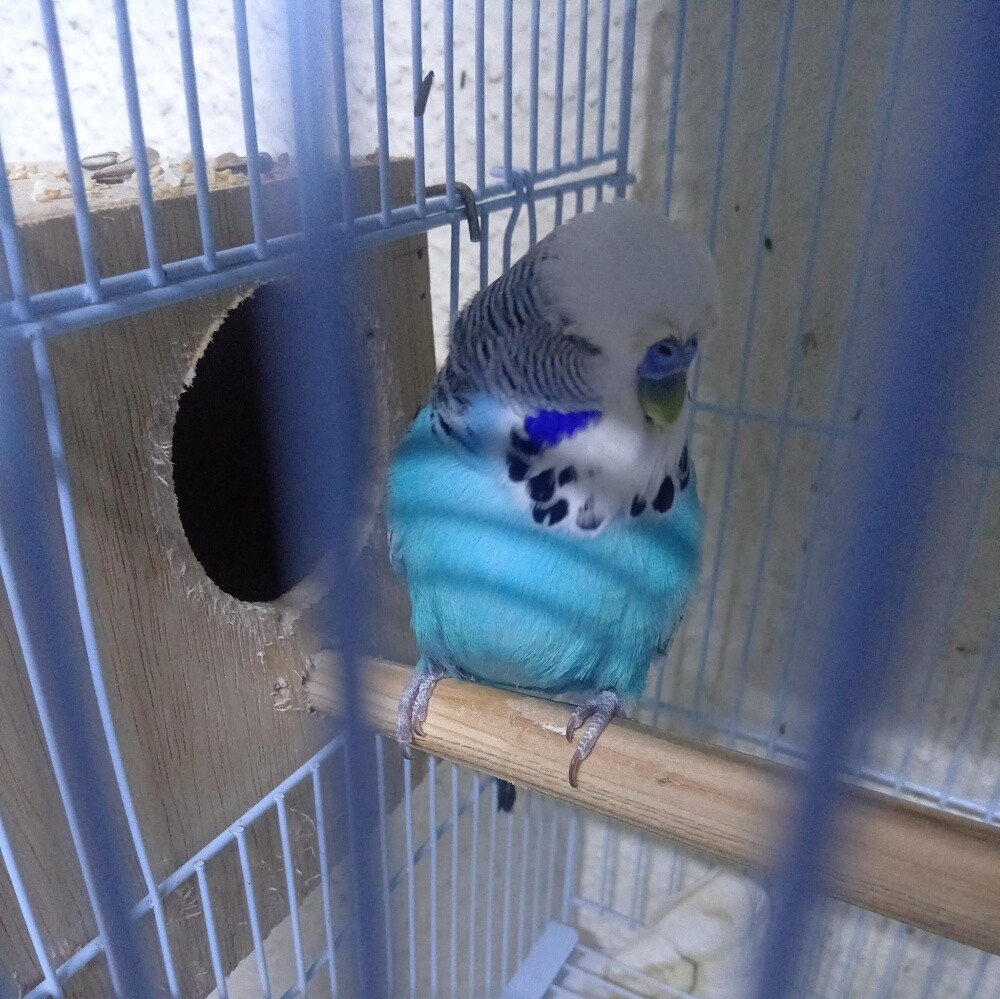 For Sale - 3