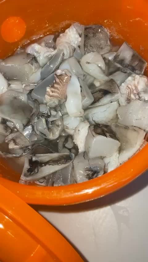 للبيع خلطة خثاق مقطع وجاهز للحداق - 4