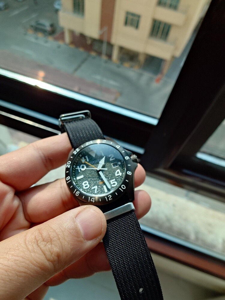 Citizen Pro Master GMT - 4