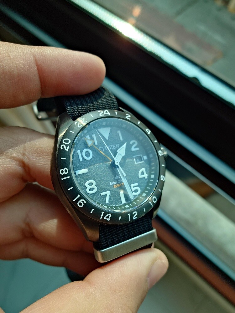 Citizen Pro Master GMT - 5