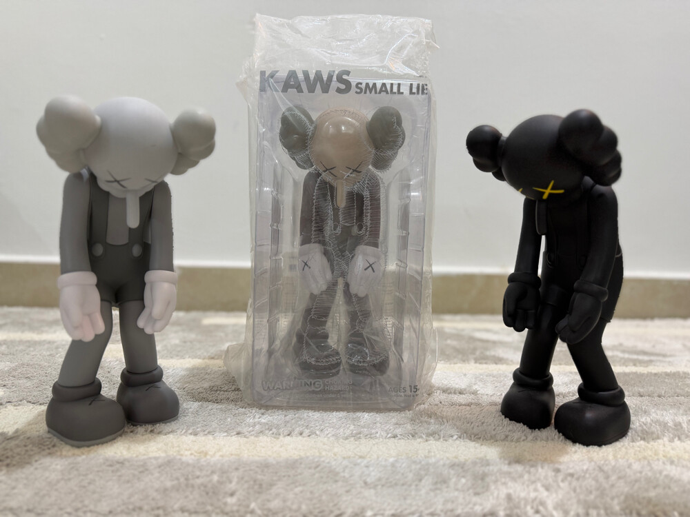 Authentic KAWS Small Lie - 1