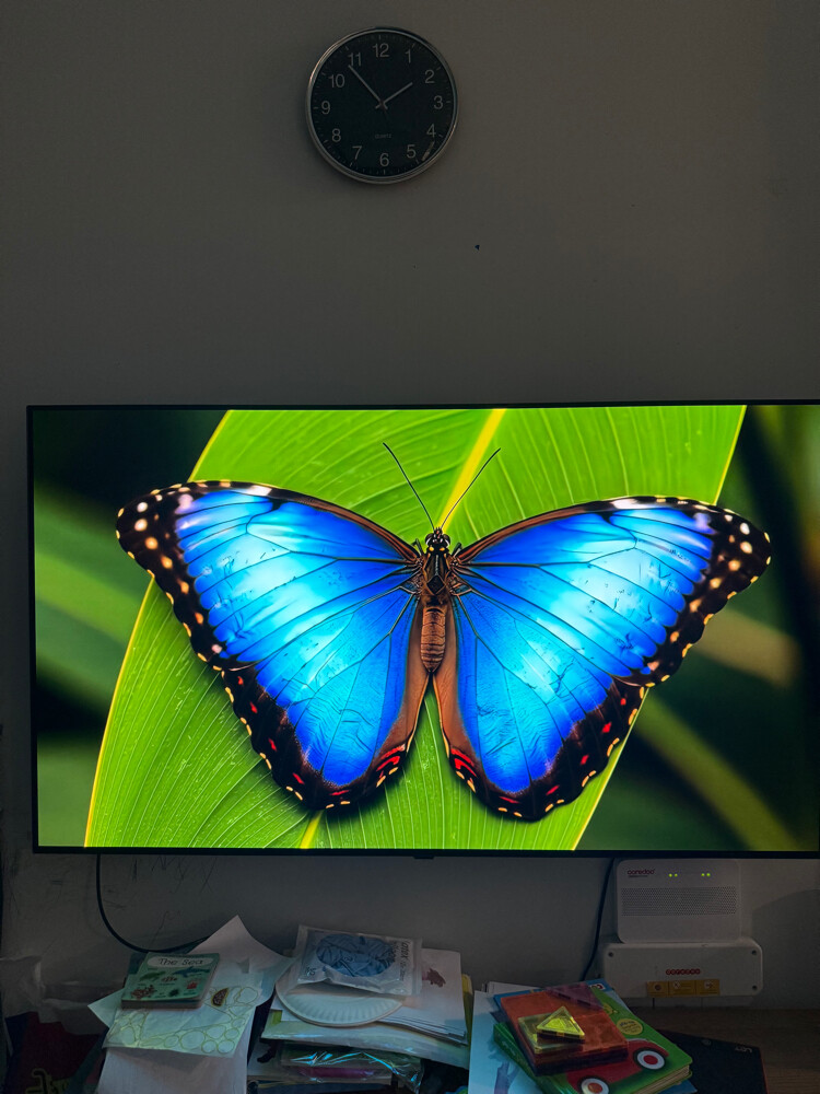 LG OLED B5 65 inch - 4