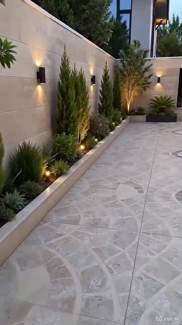 زراعه ازهار الزينه - 1