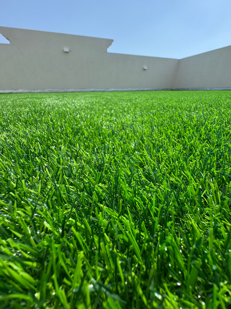 Artificial grass, grass carpet, gre - 7
