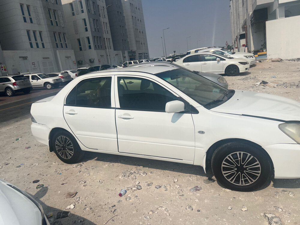 لا نسر - 3